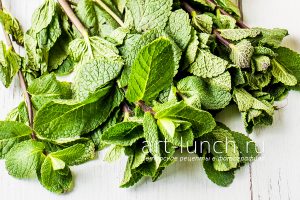 Как сохранить свежесть мяты