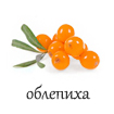 облепиха