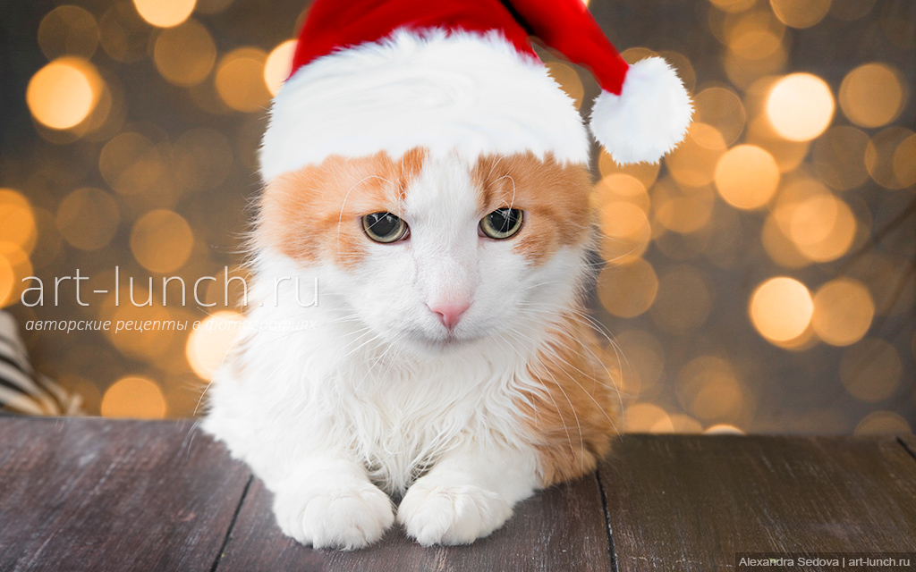 Салат с курицей, руколой и мандарином - пошаговый рецепт с фото