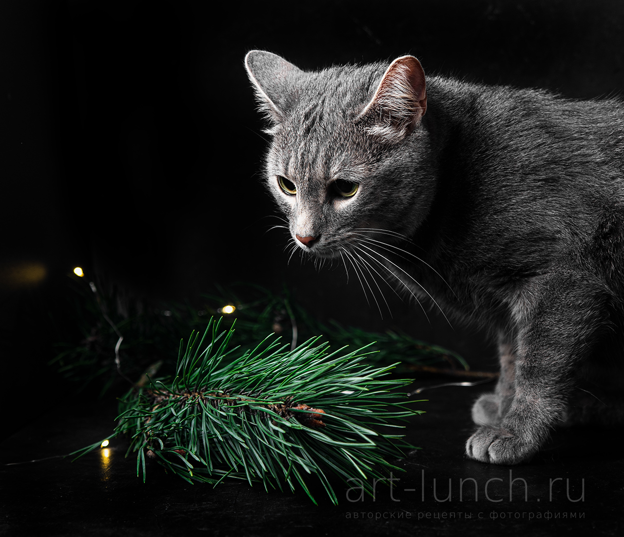 Пирожные Шишки